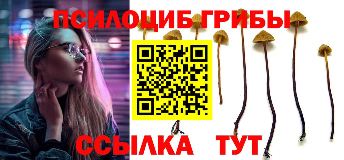 Курганинск  Галлюциногенные грибы GOLDEN TEACHER  Вход с VPN  Псилоцибиновые грибы Psilocybe 